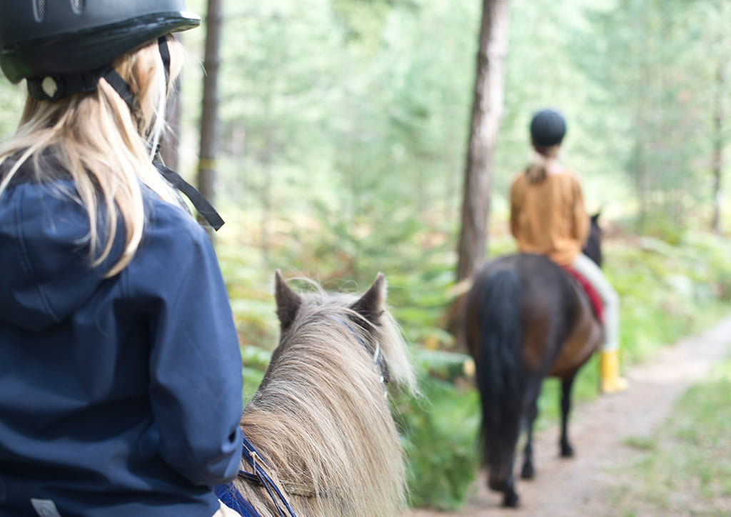Sonnenplateau Camping Gerhardhof GmbH - Sport und Freizeit - Sommeraktivitäten - Reiten - Startbild
